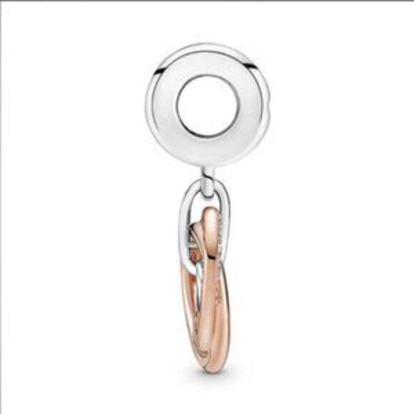 Pandora Family Always Encircled Dangle Charm - Picture 3 of 5